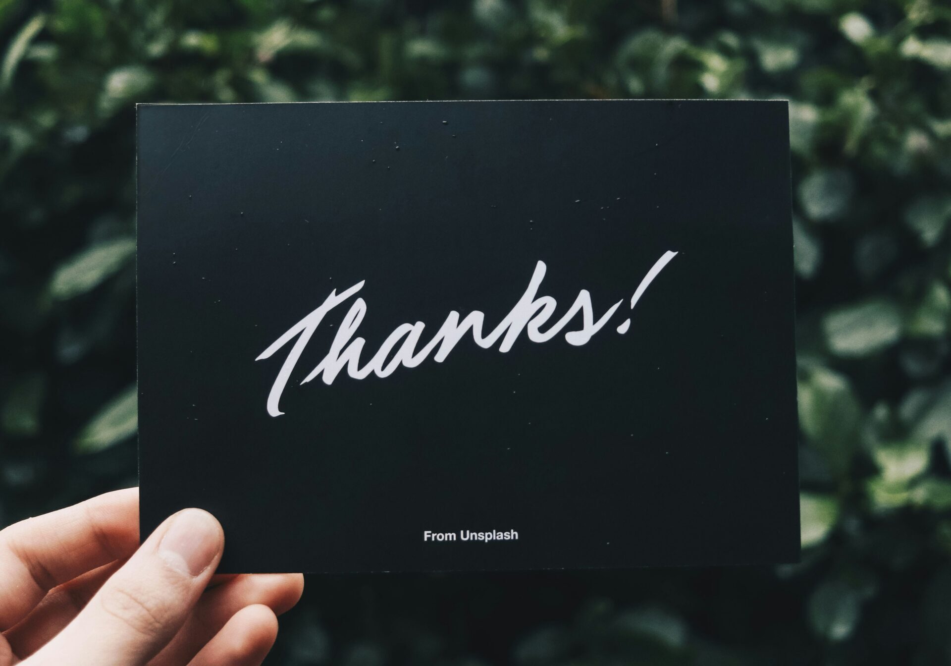 manuel-cosentino-M3fhZSBFoFQ-unsplash manuel-cosentino-M3fhZSBFoFQ-unsplash
